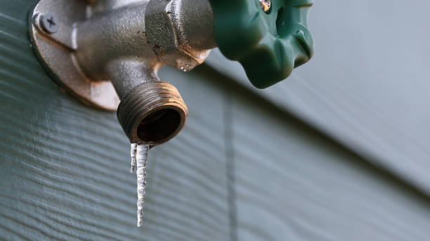 Best Plumbing Inspection Services  in Blennerhassett, WV