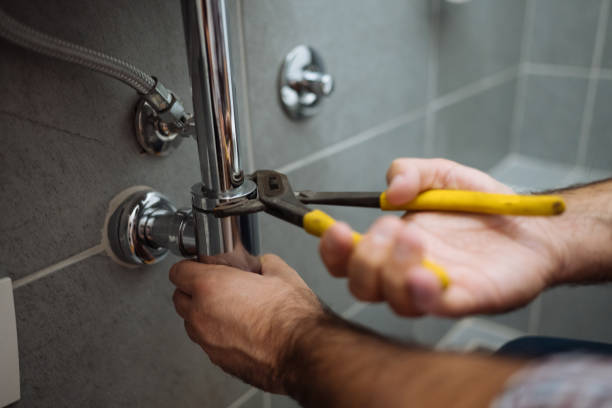 Best Plumbing Inspection Services  in Blennerhassett, WV